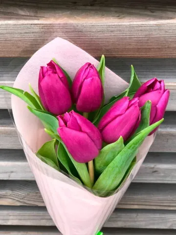 Bouquet of 5 tulips