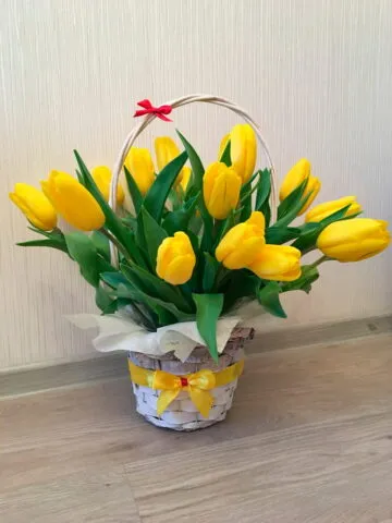 A basket of tulips