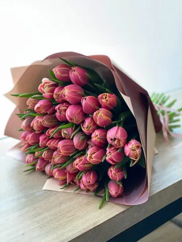 Peony tulips