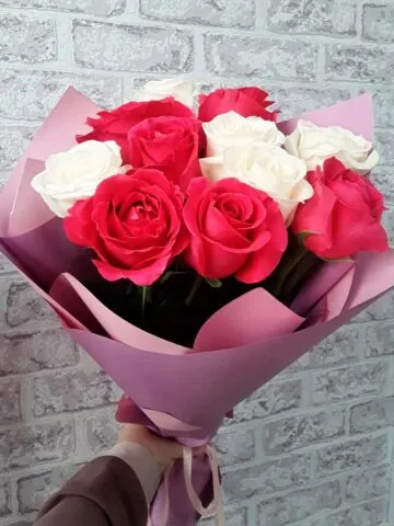 11 Dutch roses