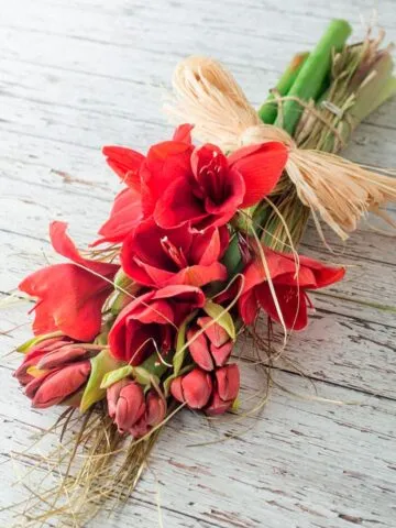 Amaryllis bouquet