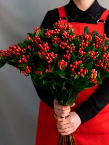 Hypericum bouquet