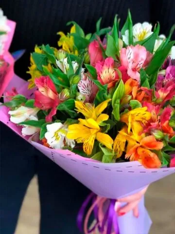 Bouquet of 11 alstromerias