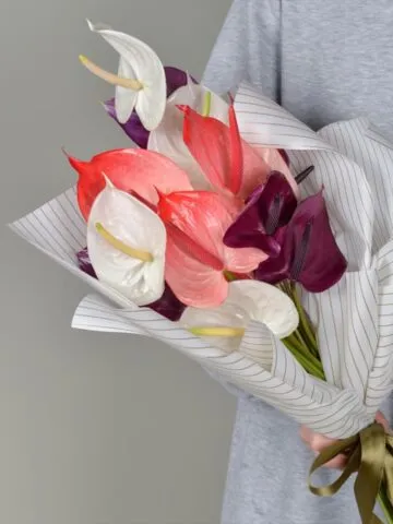 A bouquet of anthuriums