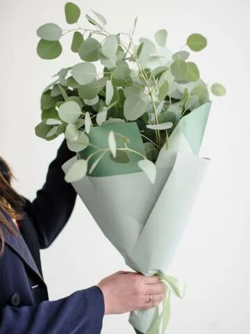 Eucalyptus bouquet
