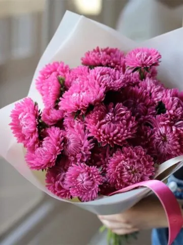 A bouquet of asters