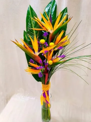 Strelizia bouquet