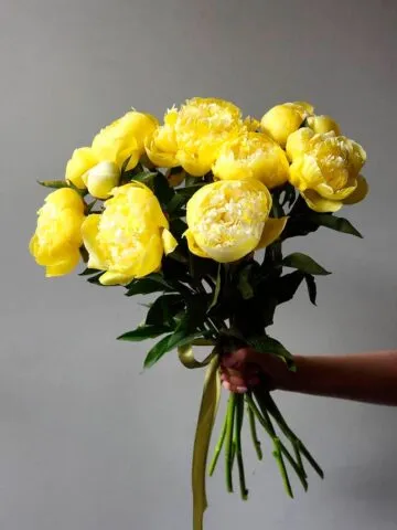 Bouquet Rapture