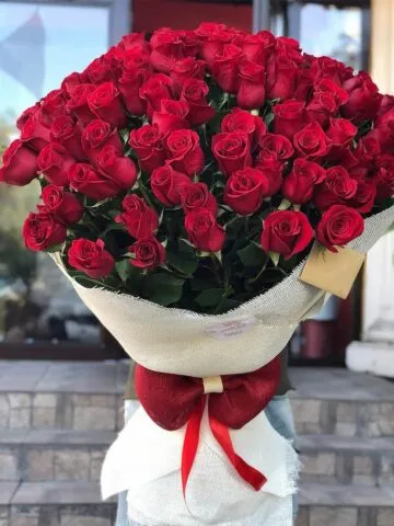 Dutch metre roses