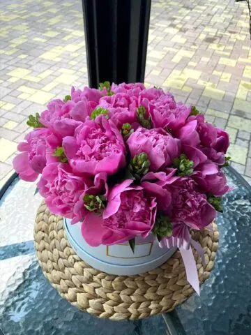 Composition Lilac Paradise
