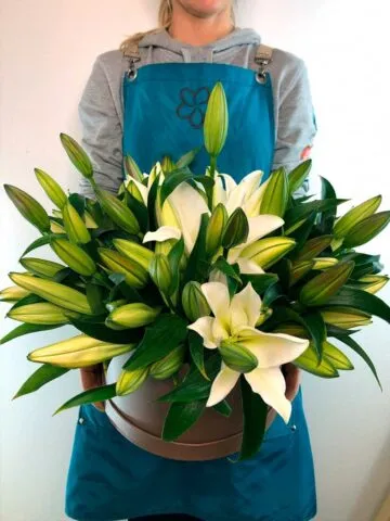A box of lilies