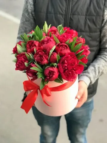 Red peonies in a box