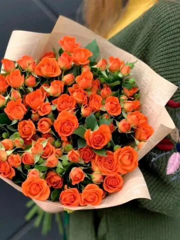 Orange bush roses