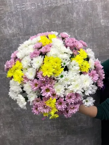 Bouquet of bush chrysanthemums