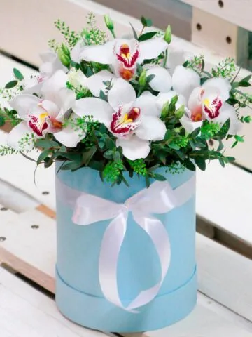 White orchids in a box