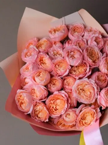 Peach peony roses