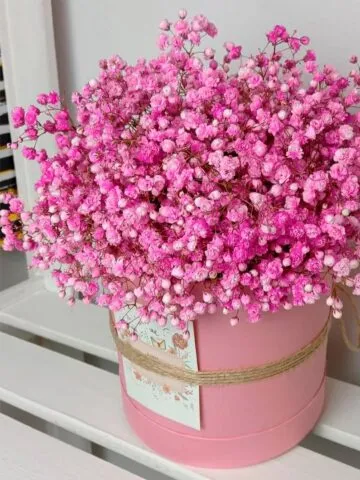Pink gypsophila in a hat box