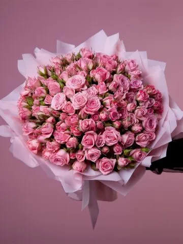 Pink bush roses