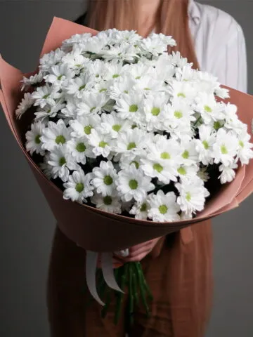 A bouquet of chamomile chrysanthemums