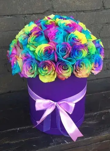 51 rainbow roses in a box