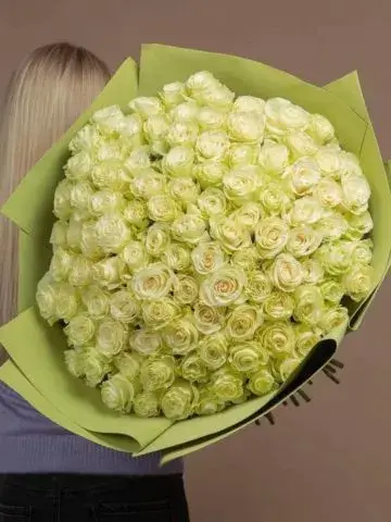 101 roses 80 centimeters