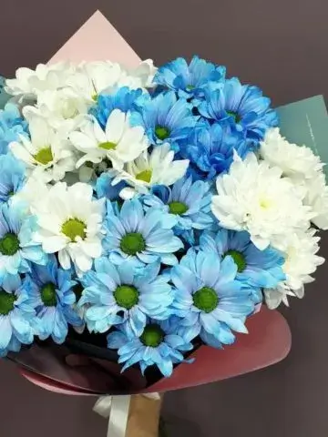 Bouquet of 11 chrysanthemums