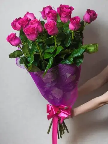 15 meter roses