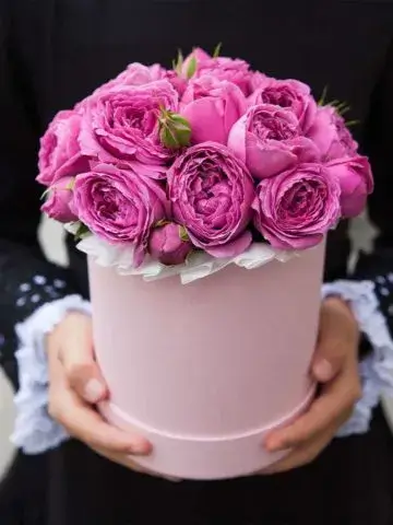 9 peony roses in a box