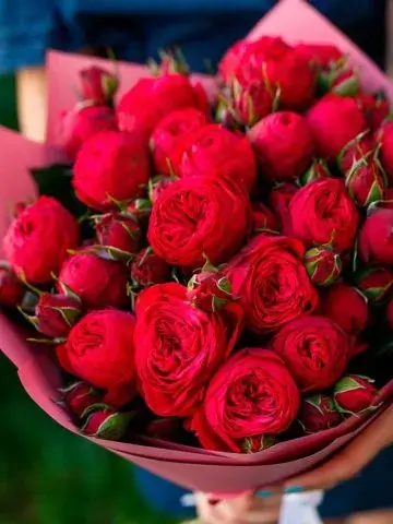 Bouquet Iraida