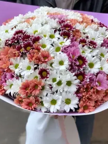 Bouquet of 51 chrysanthemums