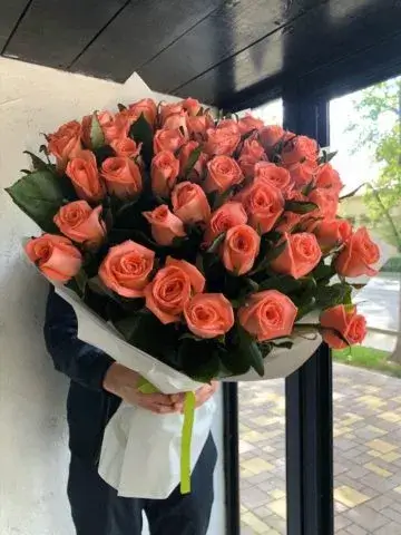51 meter rose