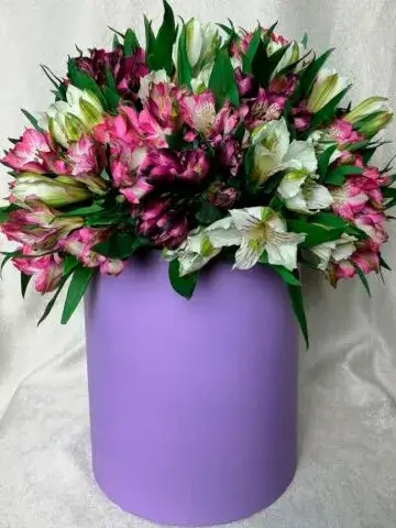 Pink and white