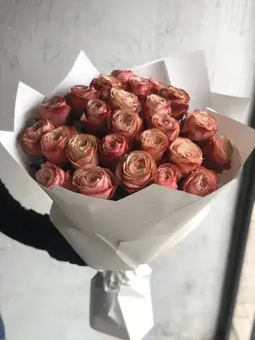 25 Kahala roses