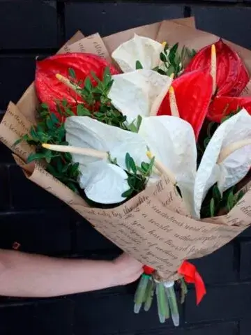 A bouquet of anthuriums in kraft paper