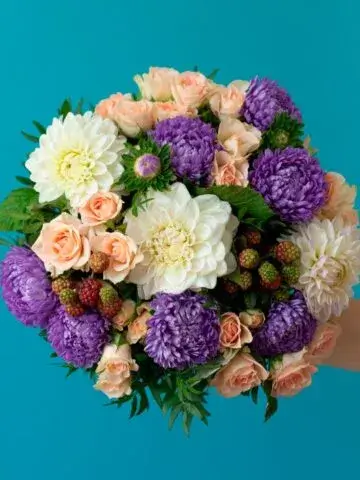 Bouquet of asters and dahlias