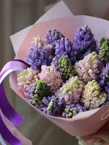 Bouquet Freshness