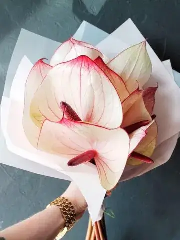 Bouquet Idyllia