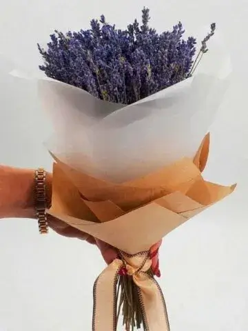 Лаванда стабилизированная