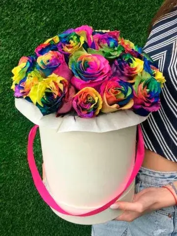 Rainbow roses in a box