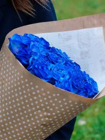 Bouquet of 17 blue roses