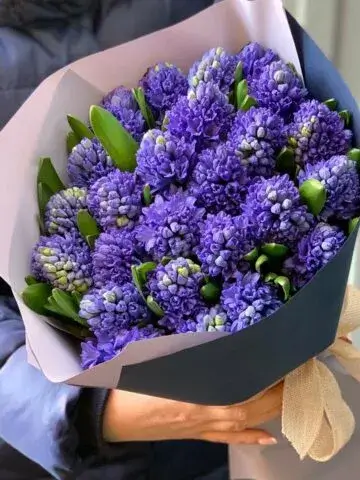 A bouquet of blue hyacinths