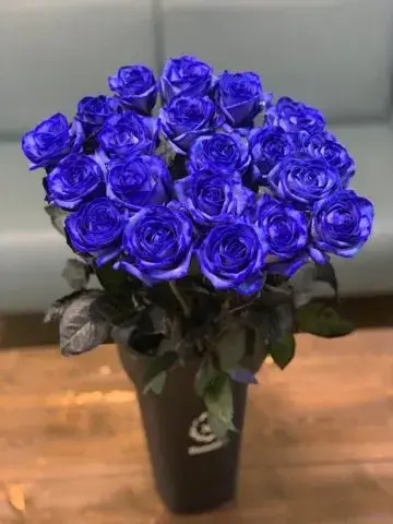 Bouquet of 19 blue roses