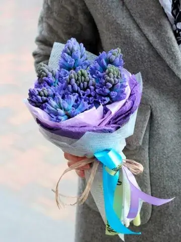 Mini bouquet of hyacinths