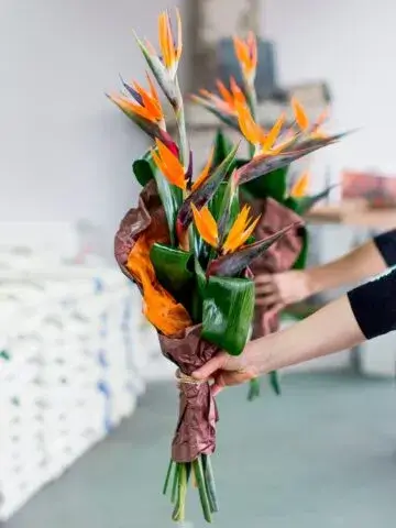 Mini bouquet of strelizia in paper