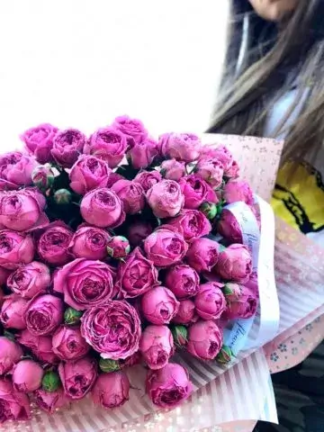 Aelita Bouquet
