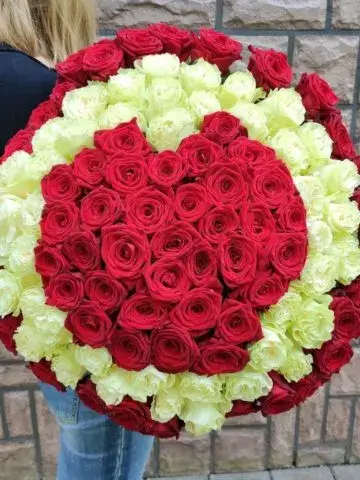 101 heart-shaped roses