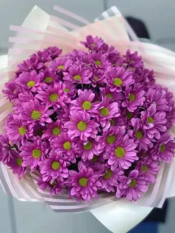 Bouquet of purple chrysanthemums