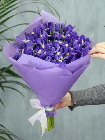 Bouquet Maybe tomorrow