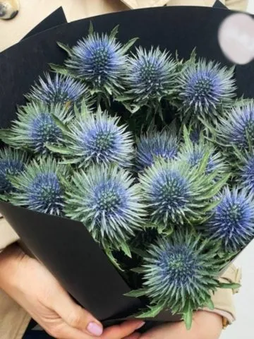 Bouquet Sea King