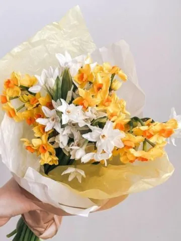 Elizabeth's bouquet